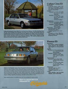 1985 Oldsmobile ES Foldout-08.jpg